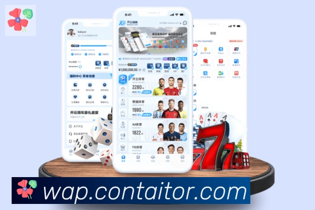 App Interface Preview